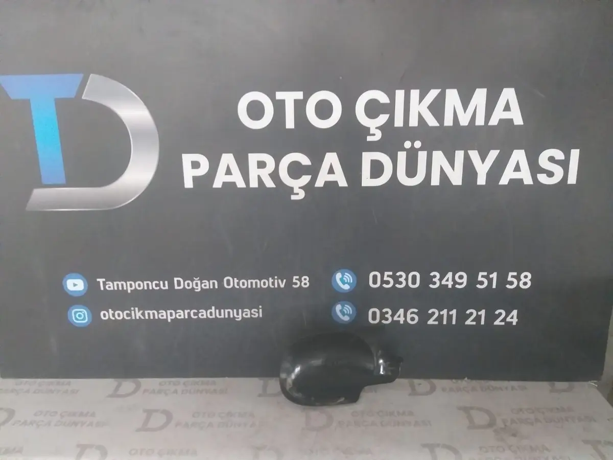 Citroen C3 MK1 Yarasa Ayna Kapağı Sağ (03-10)